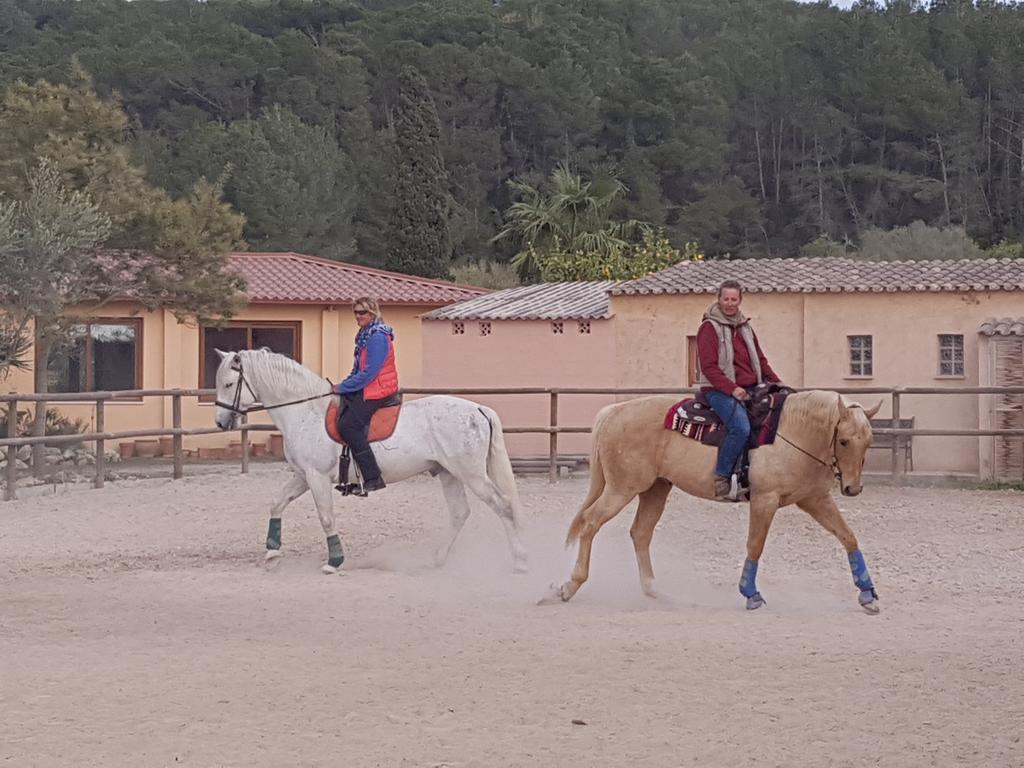 فندق Finca Caballo Blanco مونتويري المظهر الخارجي الصورة